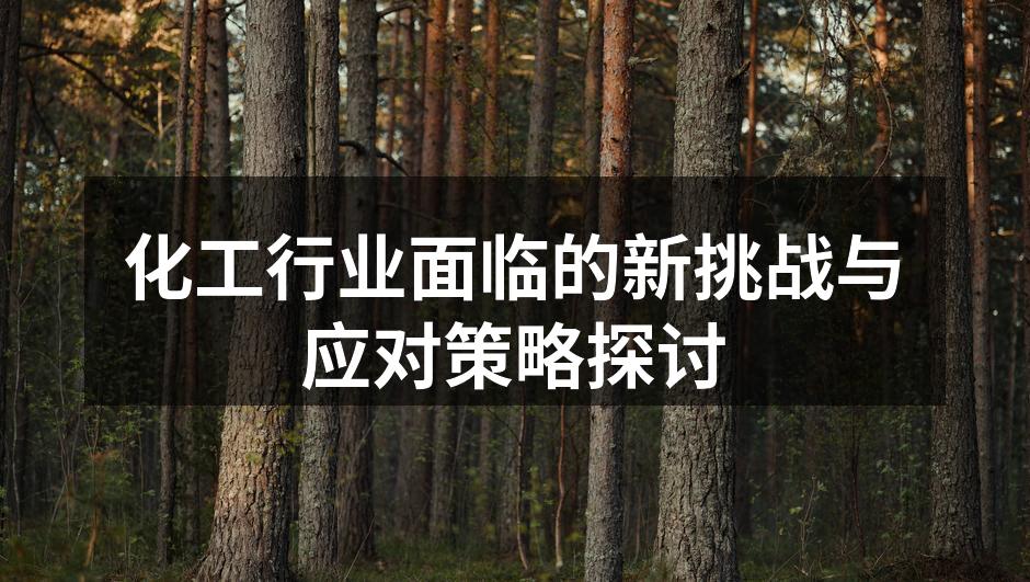 化工行业面临的新挑战与应对策略探讨